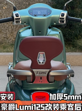 适用豪爵LUMI125改装后靠背 Lumi后靠背乘客后腰靠加厚支架无损装