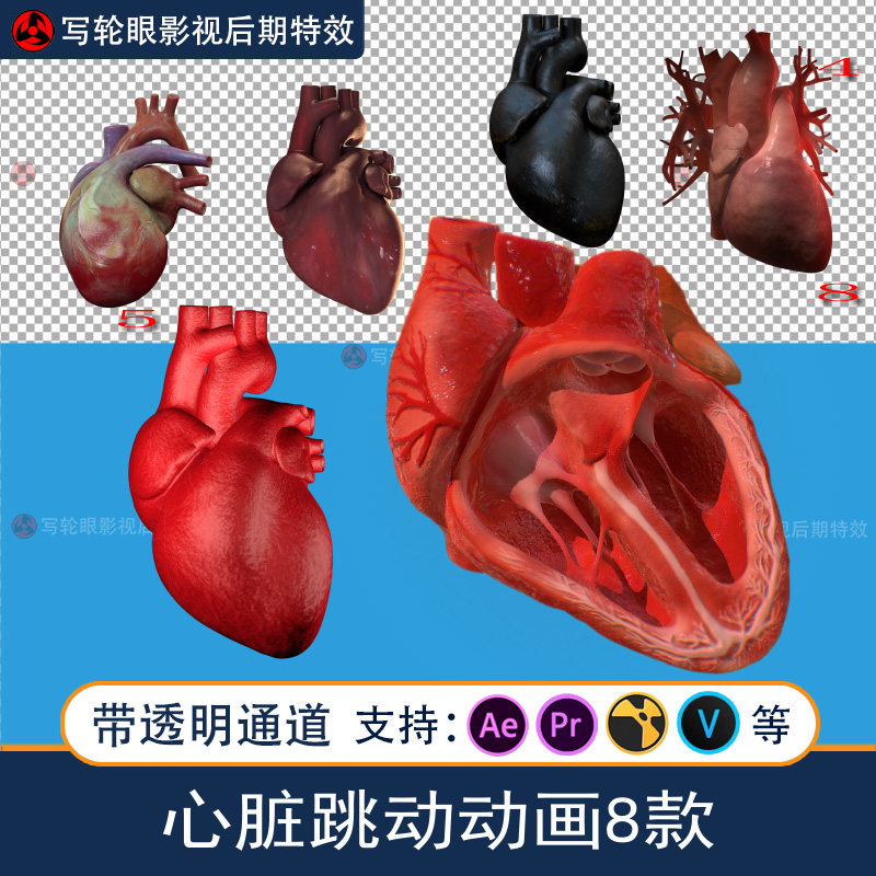 3d心脏跳动视频素材医学医疗科技三维动画素材带透明通道alpha