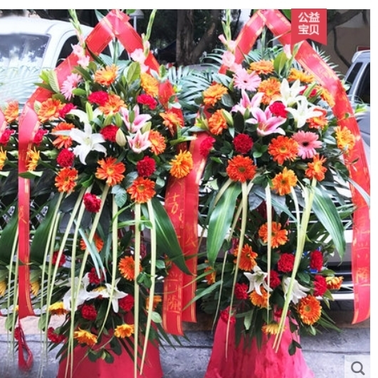 曲阜市鲁城书院时庄小雪街吴村镇姚村镇鲜花店配送开业花篮乔迁