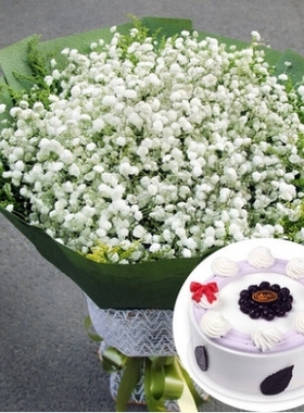 上海青浦区华新镇重固镇白鹤镇520花束鲜花店配送生日蛋糕玫瑰