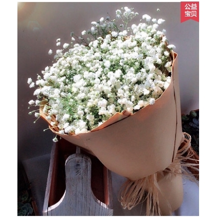 济南历下区山东建筑大学历山路老东门鲜花店520配送玫瑰花束