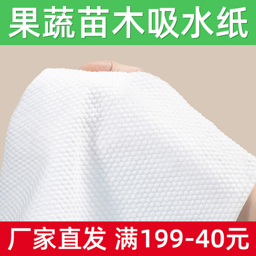 吸潮吸水纸水果蔬菜苗木樱桃葡萄千禧果草莓牛排肉鱼冰袋生鲜保鲜