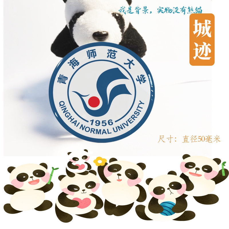 青海师范大学冰箱贴校徽青海师范大学纪念品校友伴手礼冰箱贴定制