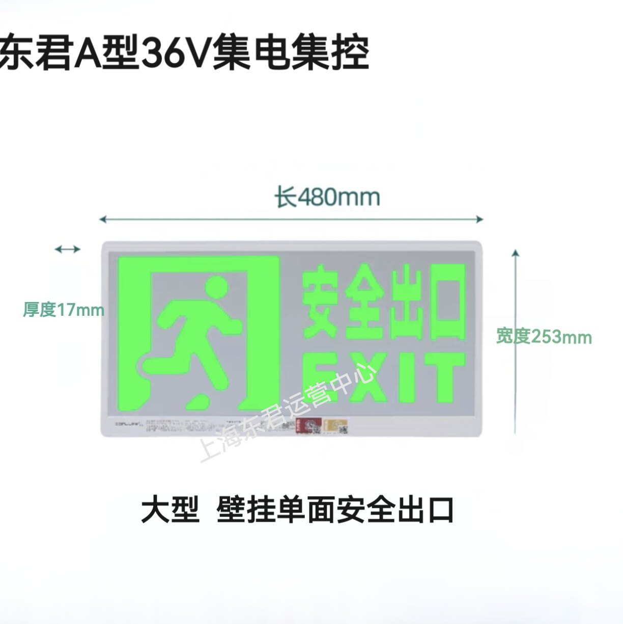 东君36v集中电源大型疏散指示灯A型智能消防应急灯安全出口疏散灯