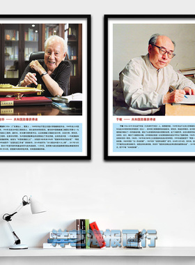 名人伟人装饰画袁隆平黄旭华孙家栋于敏钟南山革命精神人物壁挂画