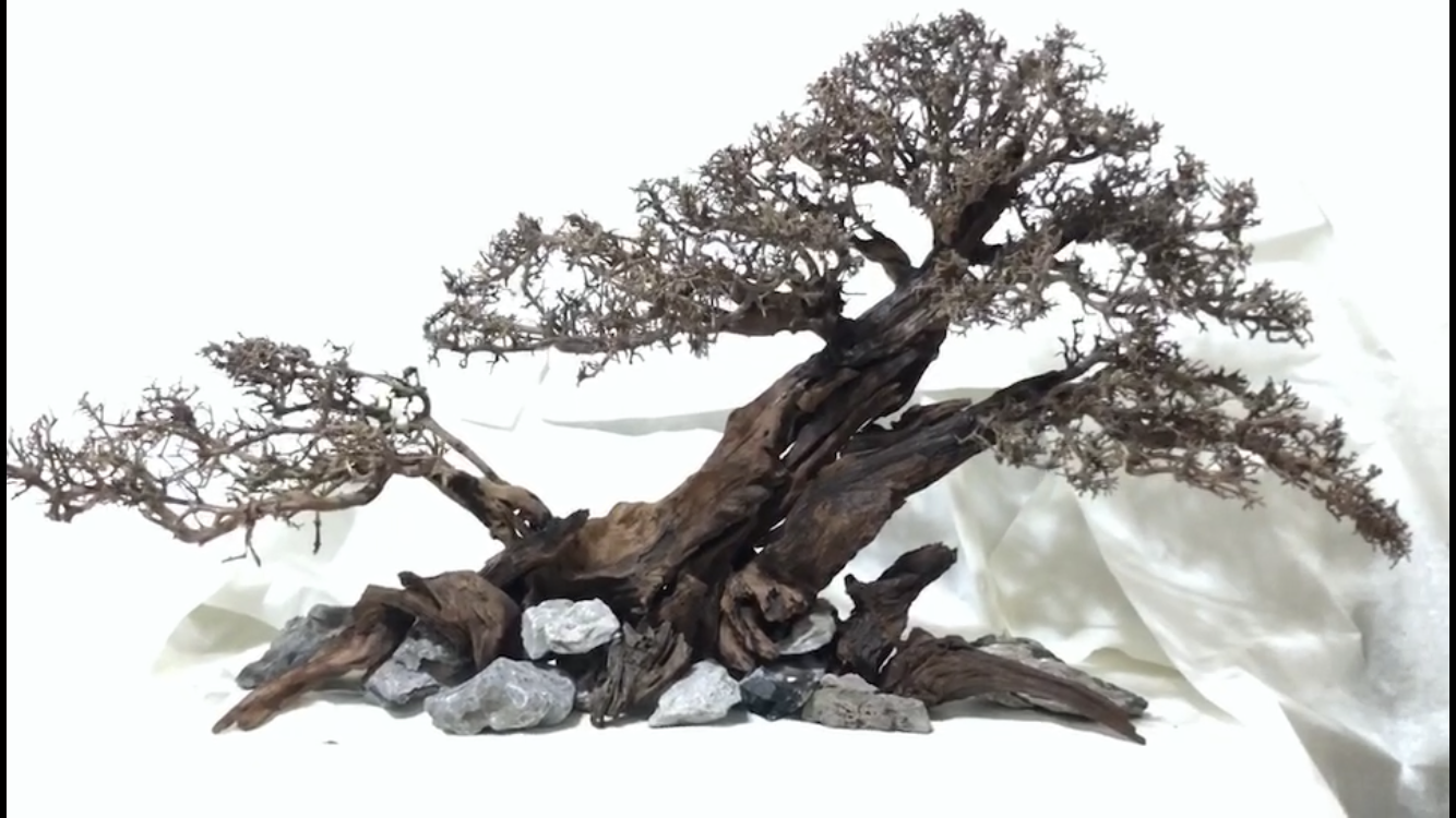 [定做]莫斯树骨架 水草造景骨架 杜鹃根沉木骨架 整体骨架