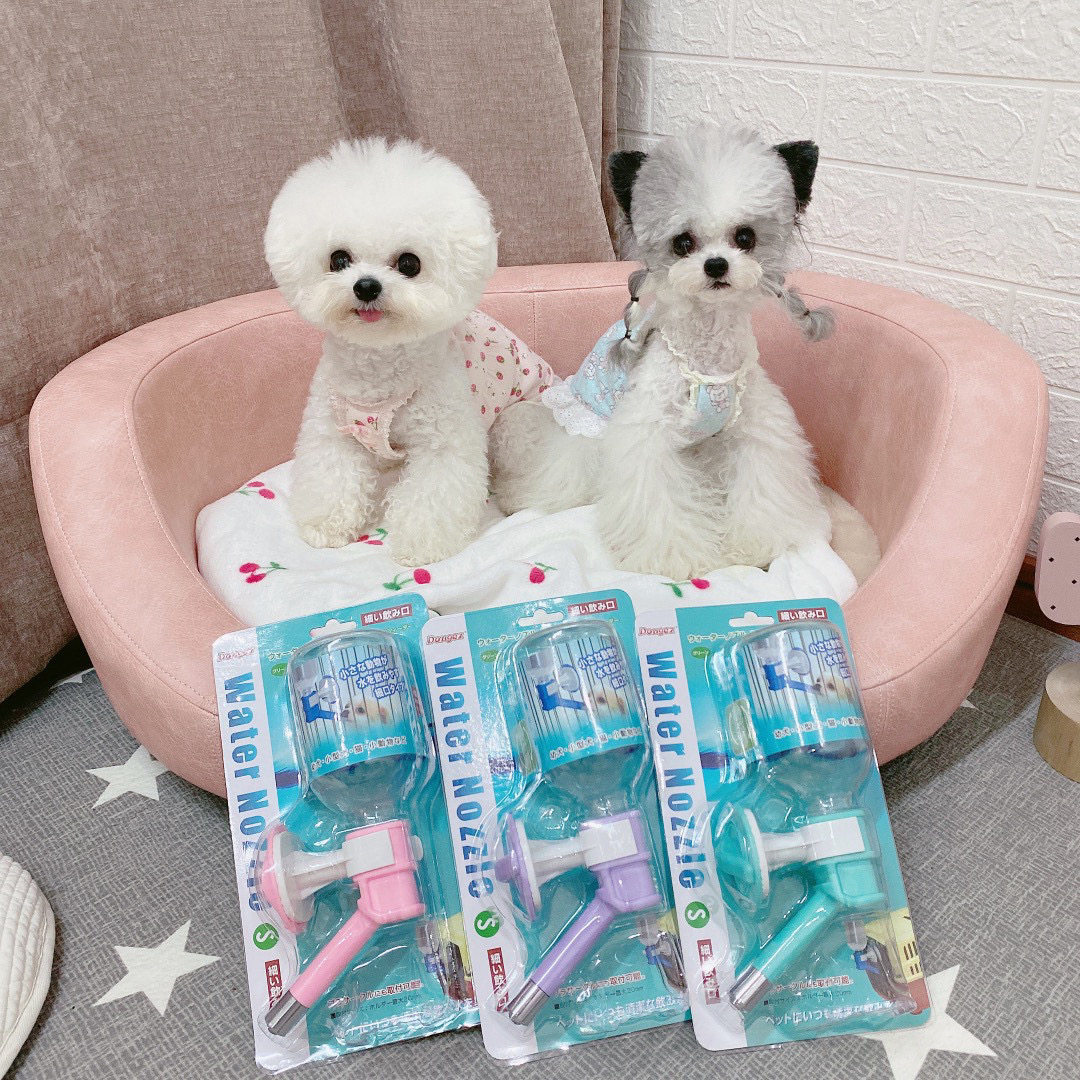 宠物饮水器狗喝水器滚珠水壶悬挂猫笼狗子饮水器喂水器不湿嘴