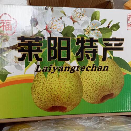 莱阳梨慈梨贡梨照旺庄芦儿港