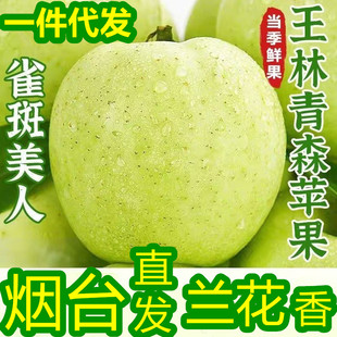 王林苹果雀斑美人青森水蜜桃绿苹果新鲜水果5斤9斤山东烟台青苹果