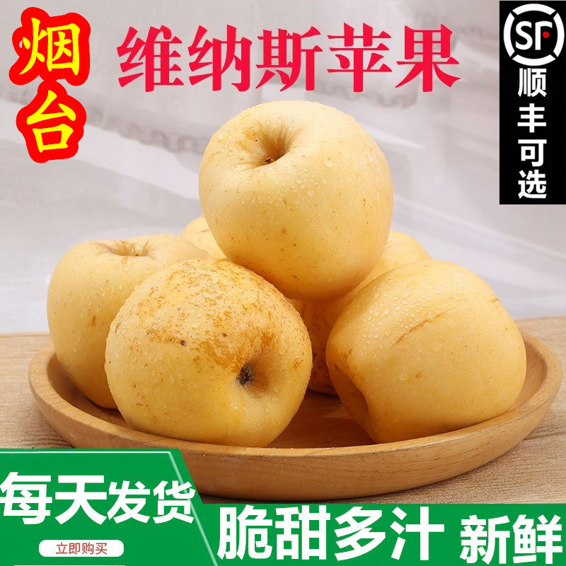 正宗烟台黄金维纳斯苹果脆甜新鲜水果应季雀斑奶油苹果冰糖心礼盒,水产肉类/新鲜蔬果/熟食,苹果,淘宝优惠券,粉丝福利购,淘宝优惠卷