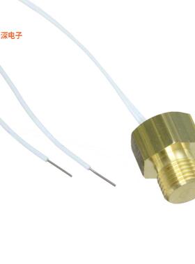 30010000 |1 kOhmsSENSOR RTD 1000OHM CYLINDER