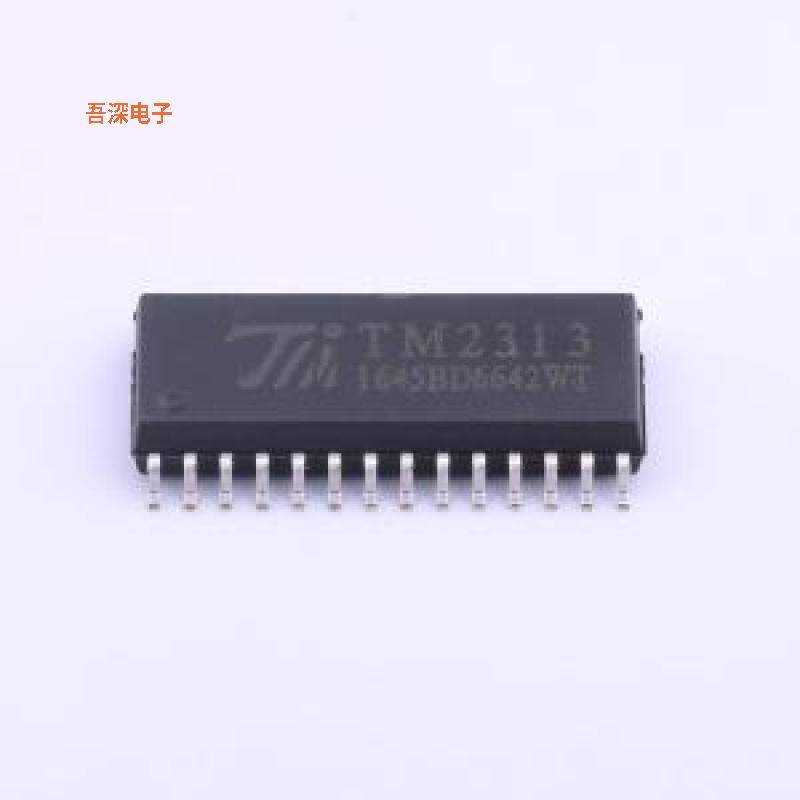 TM2313 |原装SOIC-28-300mil音频接口芯片