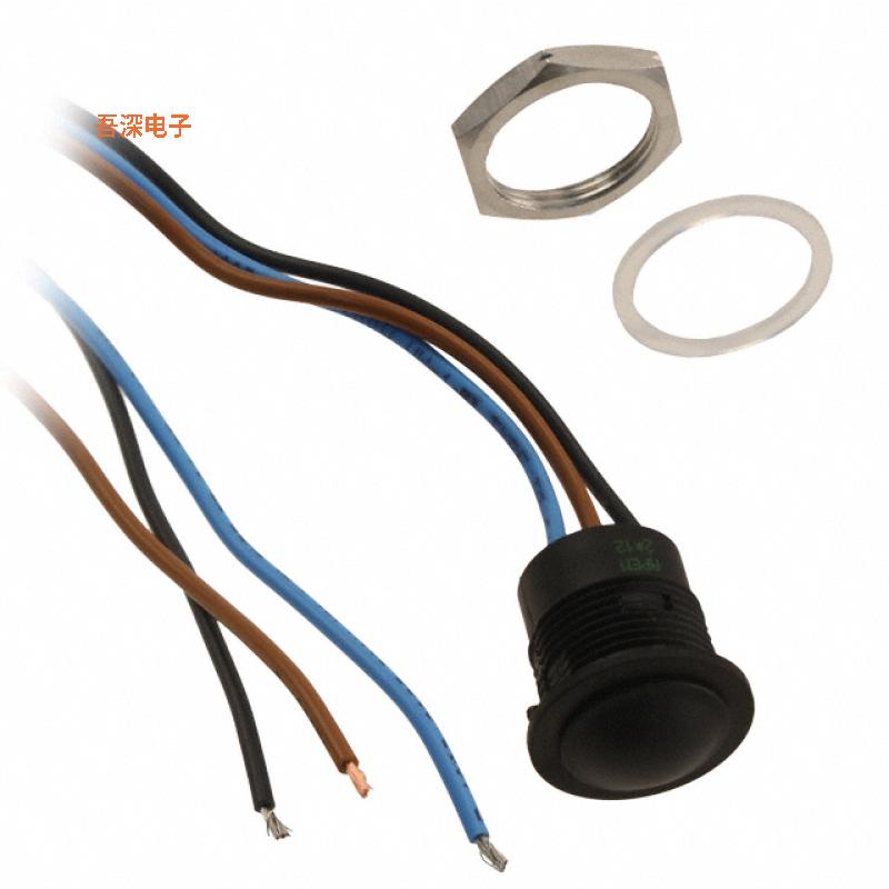 IAR5F1200 |前面板安装SWITCH PUSHBUTTON SPDT 2A 24V