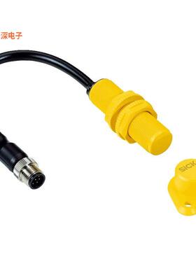 6070799 |RFIDINTERLOCK SWITCH SAFETY RFID