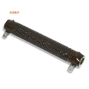 CHAS 300 C300KR31E mOhmsRES OHM 10% 0.31 310 MNT