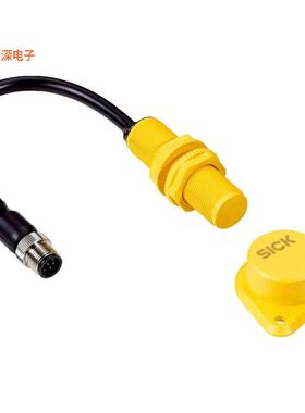 6070795 |RFIDINTERLOCK SWITCH SAFETY RFID