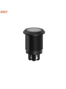 S22AMTSGXDT |原装全新S22 PRO TOUCH SERIES: 1-COLOR RG