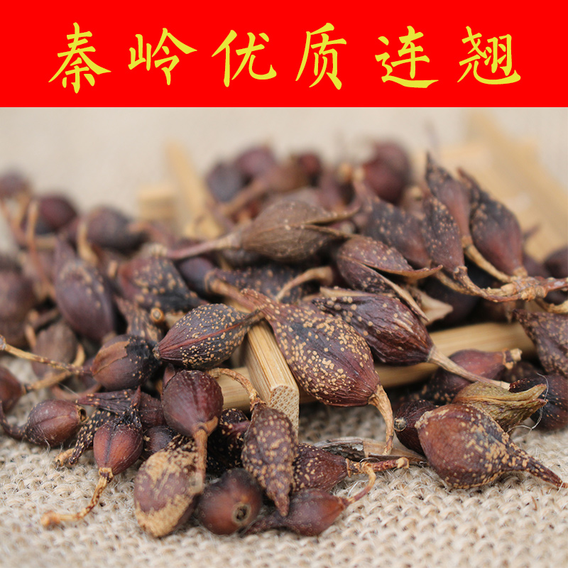 【现货即发】秦岭深山野生连翘 汉中贯叶连翘 正品双黄连中药材