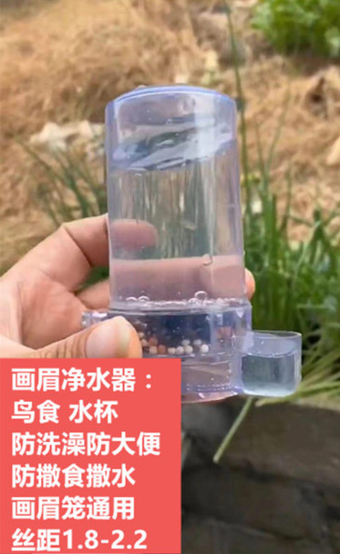 画眉鸟水杯食杯透明净水过滤滤杯