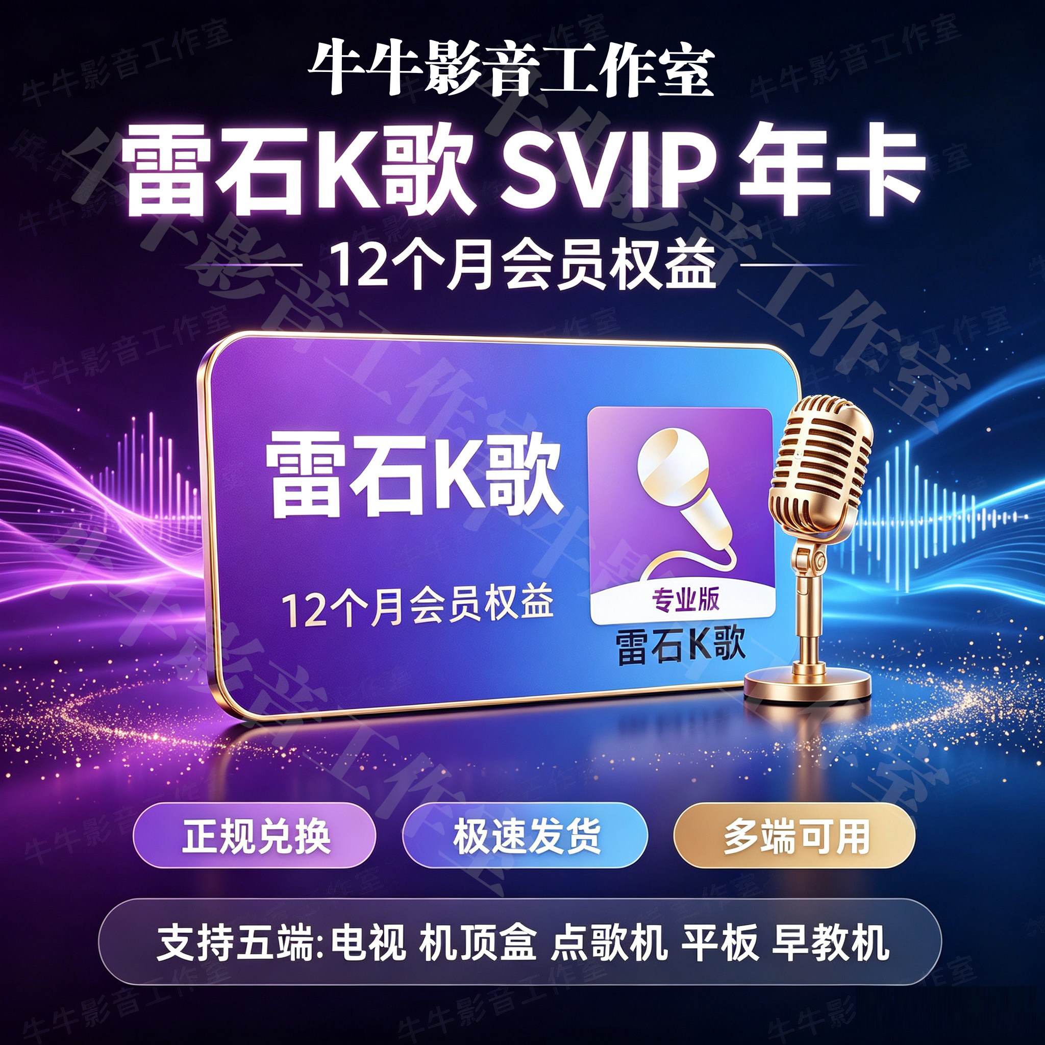 雷石K歌软件VIP年卡电视端车载