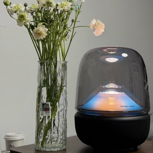 harman kardon/哈曼·卡顿 琉璃5代无线蓝牙音响