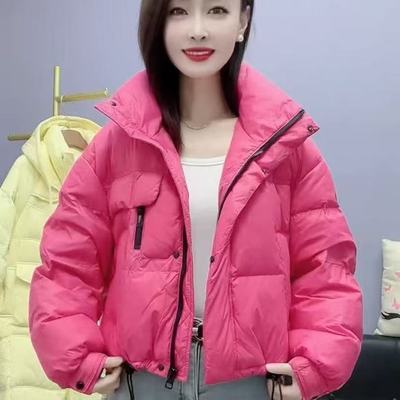 短款羽绒服韩版立领加厚小个子