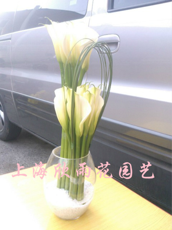 马蹄莲 生日鲜花 祝福鲜花 会议鲜花 圣诞节鲜花 上海鲜花速递