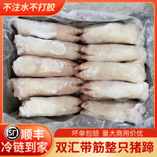 双汇带筋猪蹄 生鲜猪手20斤5斤猪爪猪短脚猪前后蹄冷冻商用烧烤卤