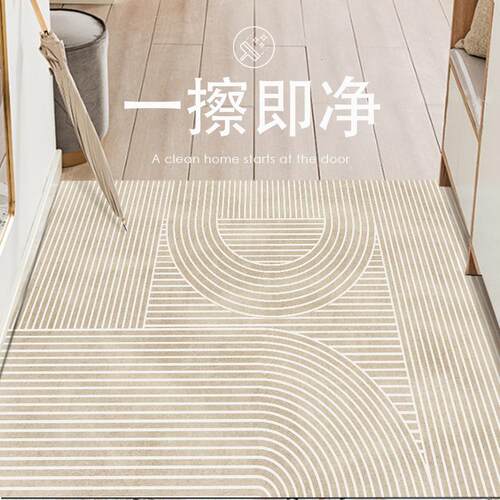 入户地垫轻奢简约现代pvc可裁剪