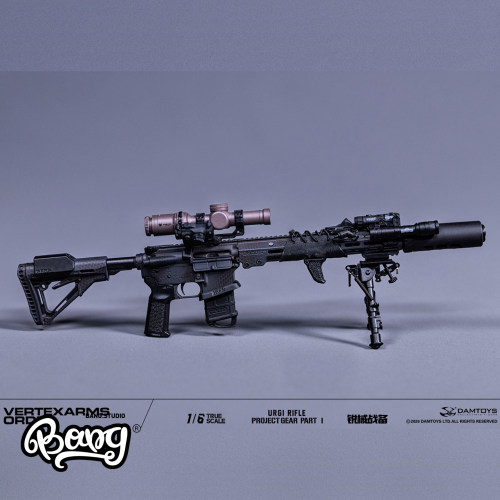 DAMTOYS1/6锐械战备武器吊卡