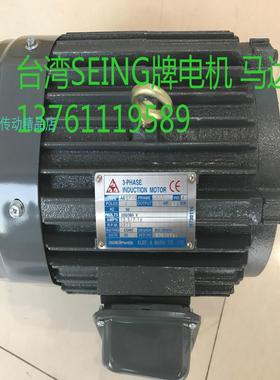 SEING电机  SEING马达  AEEEF   2P   5HP   37KW