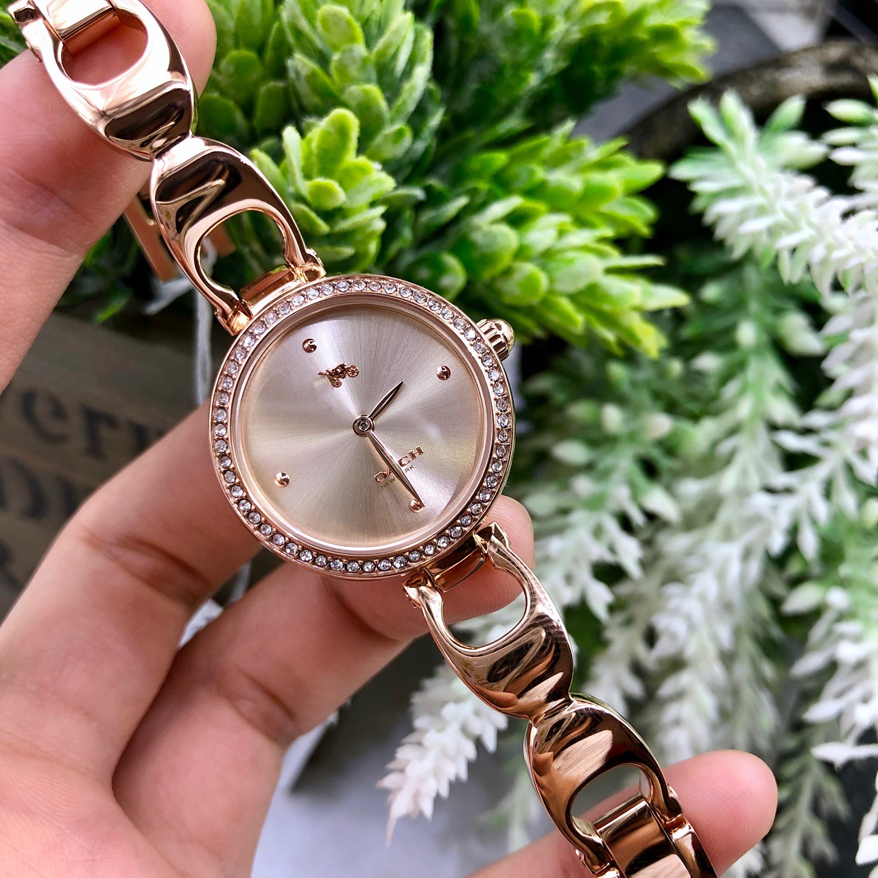 C家 蔻家飞驰CH手表时尚钢带手链女表日本石英腕表抖音笑红书爆款