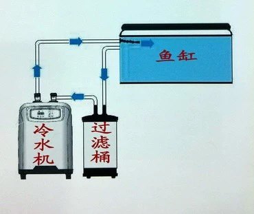 定制博宇水族箱冷水机鱼缸制冷机淡海水降温机水族恒温机海鲜养殖