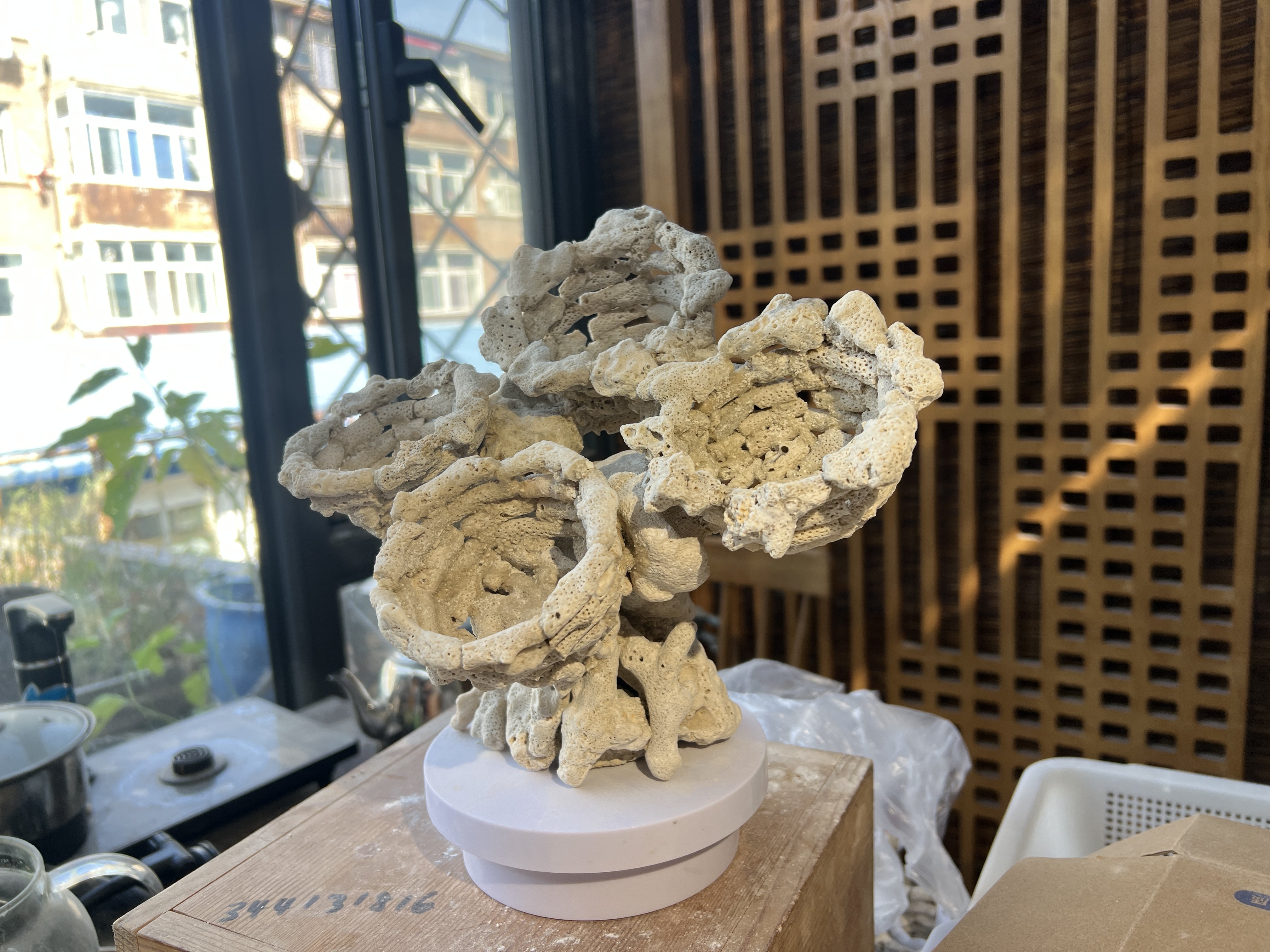 海葵山海缸造景珊瑚缸配景分裂海葵窝fot鱼虾蟹龟躲避屋图片
