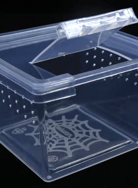 200个一箱蜘蛛饲养盒昆虫爬宠饲养盒YC小方盒透明饲养盒饲养箱