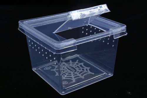 200个一箱蜘蛛饲养盒昆虫爬宠饲养盒YC小方盒透明饲养盒饲养箱