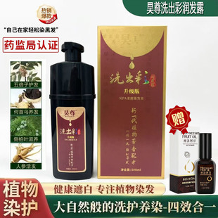 昊尊洗出彩润发露中华禅洗一洗黑天然植物染发剂植物天然不沾头皮