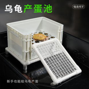 烏龜產(chǎn)蛋池繁殖箱曬臺(tái)孵化寵物龜下蛋網(wǎng)格板黑白發(fā)色盒周轉(zhuǎn)箱沙池