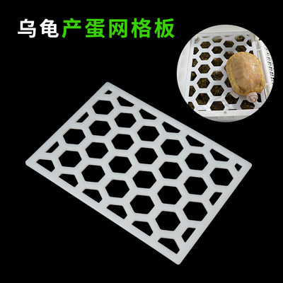 乌龟产蛋网格板下蛋沙池盒繁殖箱
