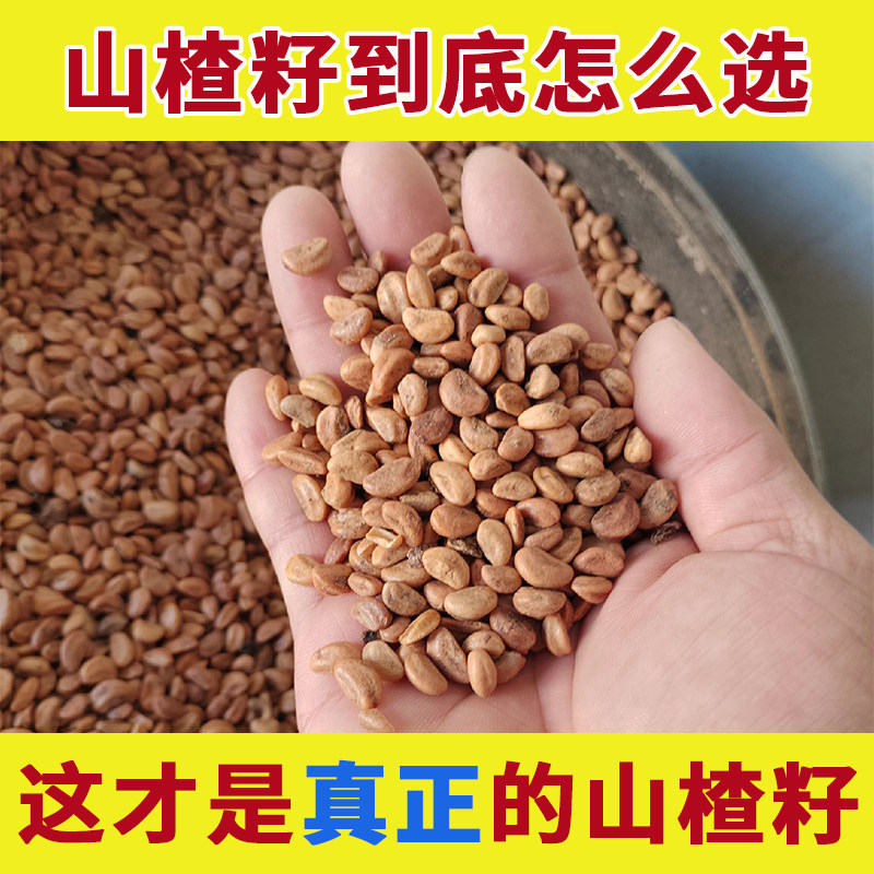 药用水洗山楂籽中药材正品山楂子散装山楂核山里红籽玩具沙做枕头