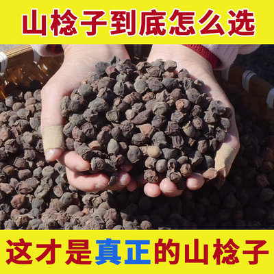 药用野生山棯子无硫新货