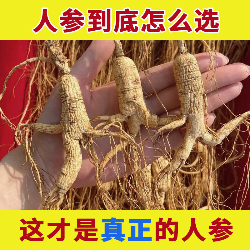 东北人参长白山野山参人叁白参生晒参泡酒专用中药材新鲜干货煲汤
