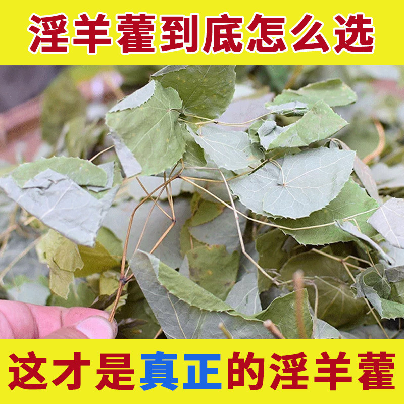 淫羊藿叶中药材正品泡水喝野生的功效与作用泡酒羊淫霍浮羊淫藿草