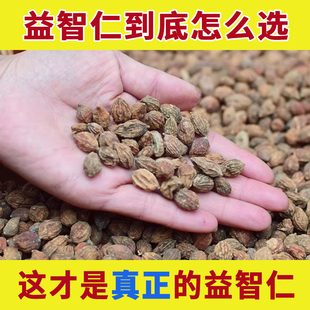 海南益智仁中药材正品泡水有什么的功效与作用官方旗舰店野生香料