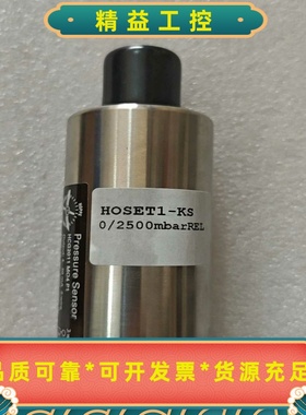 HOPPE压载探头Hoset1--kS0/2500mb，--议价商品