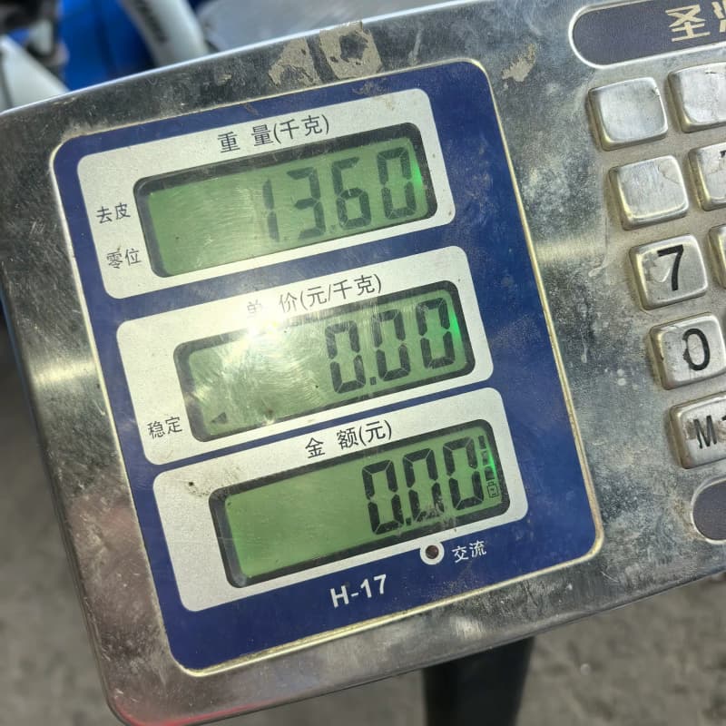 拆机一台二手威乐WILO SE水泵 MHI204-1/10/--议价商品