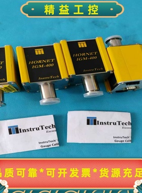 InstruTech大黄蜂真空计IGM-400出售，型号IG--议价商品