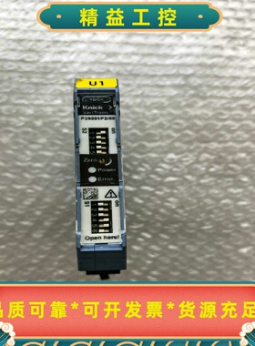 Knick科伲可P29001P2/00隔离放大器--议价商品
