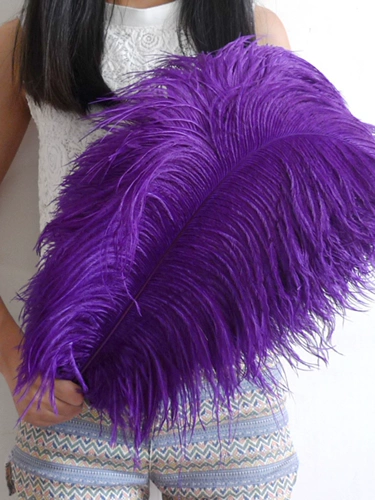 55-60 Южная Африка Импортированная страус -пера свадебная мебель