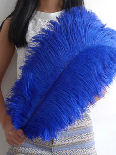 55-60 Южная Африка Импортированная страус -пера свадебная мебель